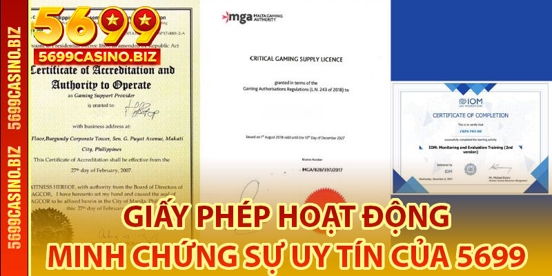 Giấy Phép Hoạt Động 5699 Là Gì?