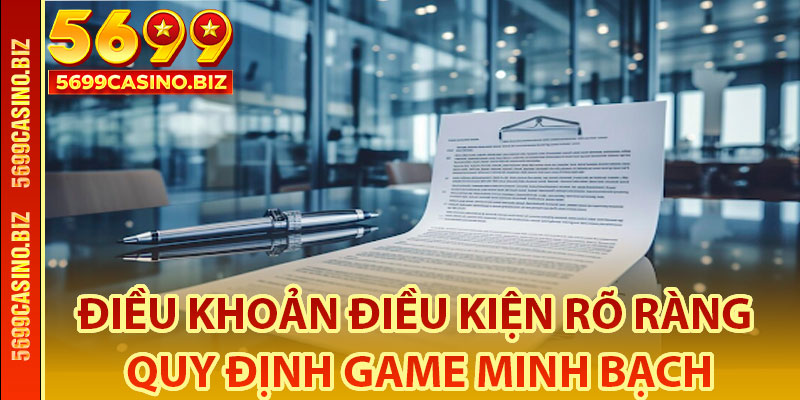 Mục đích của những quy định trong điều khoản điều kiện